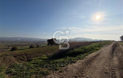 ÇANAKKALE KANGIRLI’DA 6975 m2 SATILIK TARLA