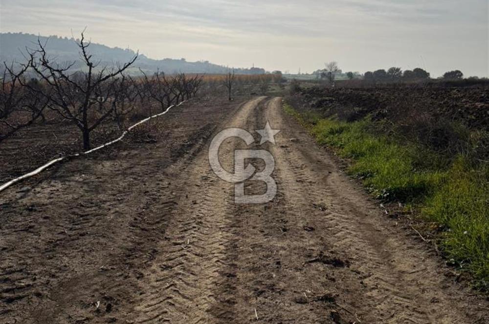 ÇANAKKALE KANGIRLI’DA 6975 m2 SATILIK TARLA