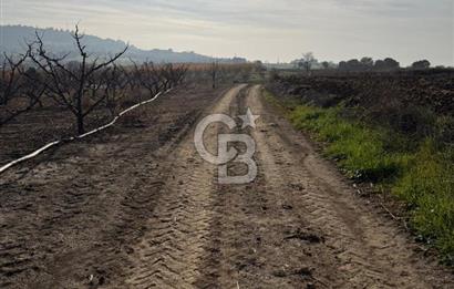 ÇANAKKALE KANGIRLI’DA 6975 m2 SATILIK TARLA