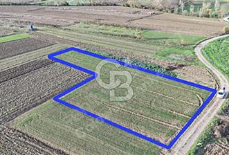 Toprak Altın! Ören Tepe'de Geleceğinize Yatırım Yapın. - 8 - 322997