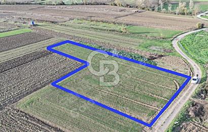 Toprak Altın! Ören Tepe'de Geleceğinize Yatırım Yapın.