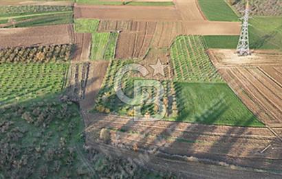 Örentepe Merkezine Yakın, Verimli Tarla Fırsatı!
