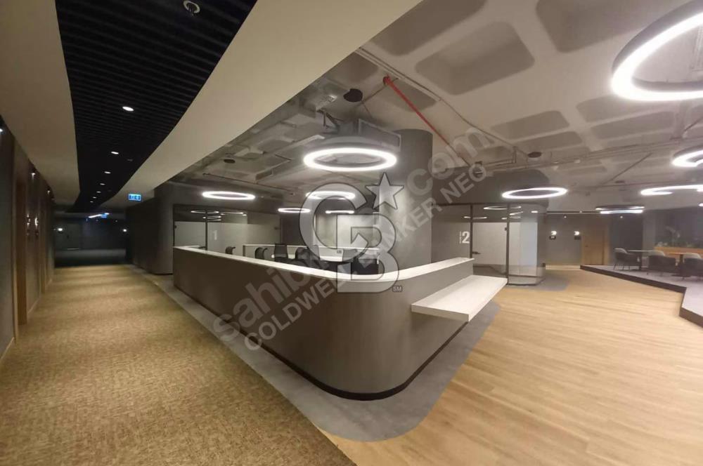 NEO'dan Premier Kampüs Ofis Fırsatları!