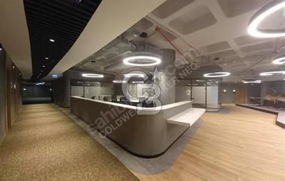 NEO'dan Premier Kampüs Ofis Fırsatları!