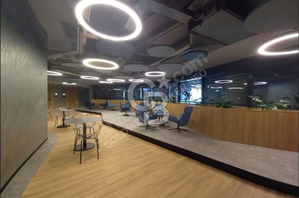 NEO'dan Premier Kampüs Ofis Fırsatları!