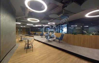 NEO'dan Premier Kampüs Ofis Fırsatları!