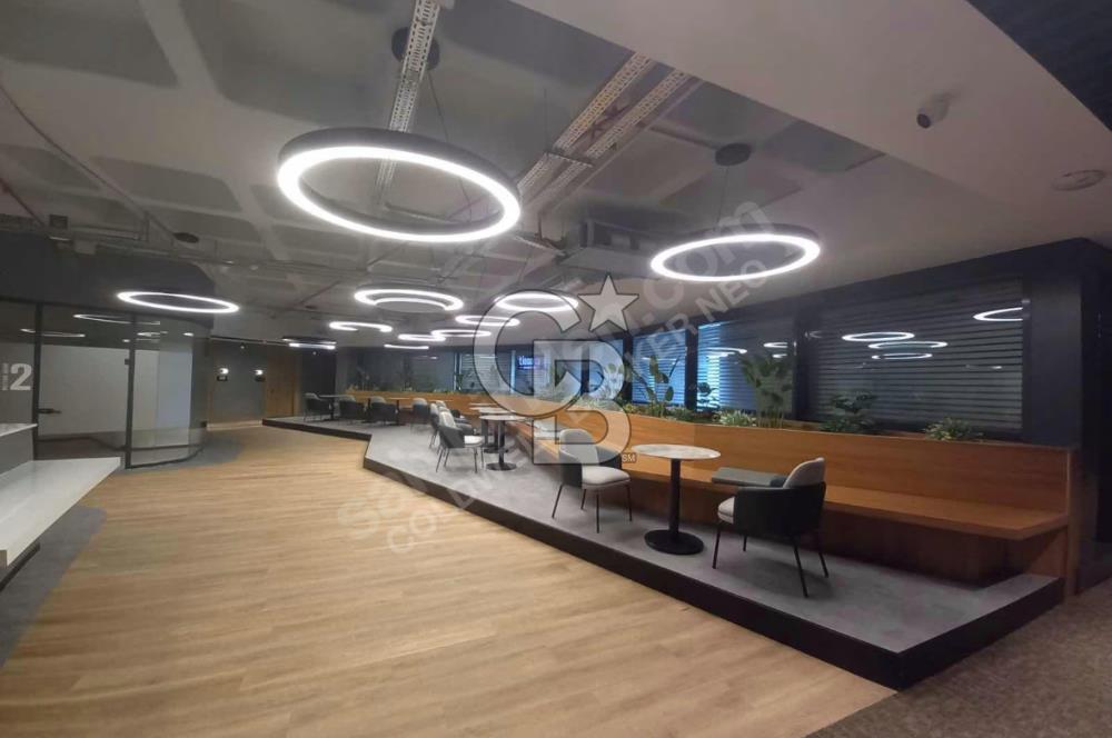 NEO'dan Premier Kampüs Ofis Fırsatları!