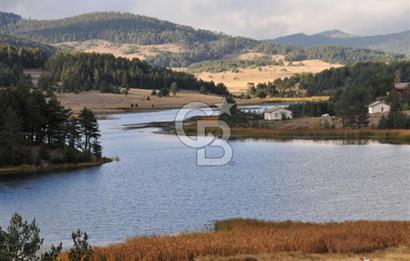 VİLLA İMARLI GÖL YAKINI TEK TAPU ARSA 4001 m2