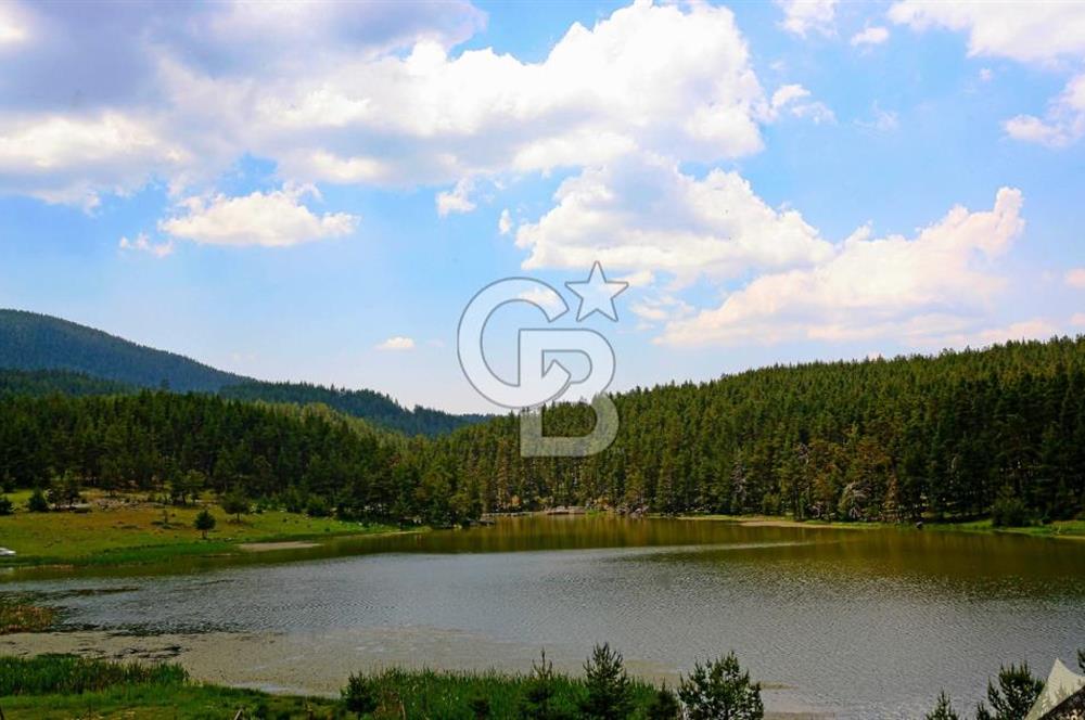 VİLLA İMARLI GÖL YAKINI TEK TAPU ARSA 4001 m2