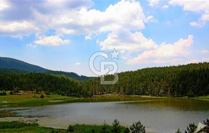 VİLLA İMARLI GÖL YAKINI TEK TAPU ARSA 4001 m2