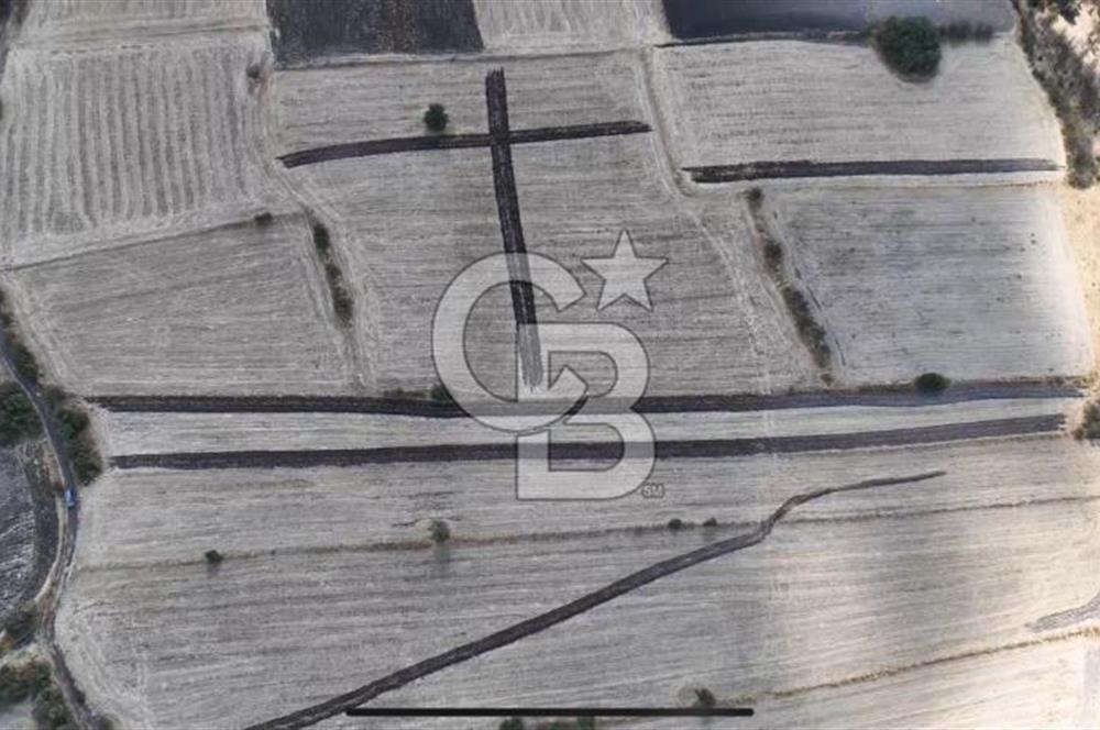 CB KİNG'DEN CİNGE MAHALLESİ SATILIK TARLA 