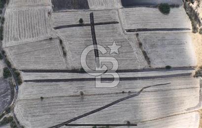 CB KİNG'DEN CİNGE MAHALLESİ SATILIK TARLA 