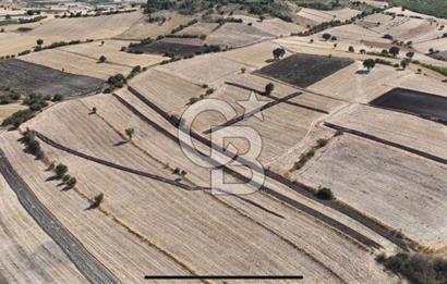 CB KİNG'DEN CİNGE MAHALLESİ SATILIK TARLA 