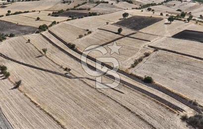 CB KİNG'DEN CİNGE MAHALLESİ SATILIK TARLA 