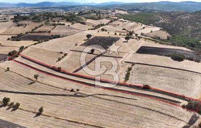 CB KİNG'DEN CİNGE MAHALLESİ SATILIK TARLA 