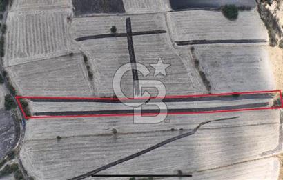 CB KİNG'DEN CİNGE MAHALLESİ SATILIK TARLA 