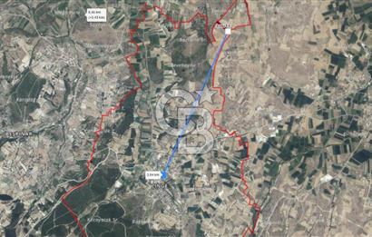 CB KİNG'DEN CİNGE MAHALLESİ SATILIK TARLA 