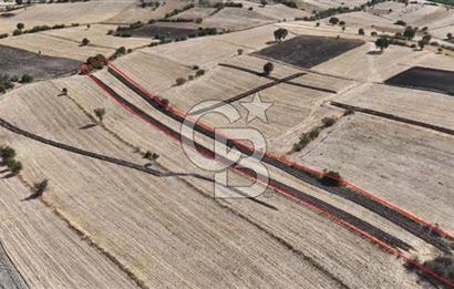 CB KİNG'DEN CİNGE MAHALLESİ SATILIK TARLA 