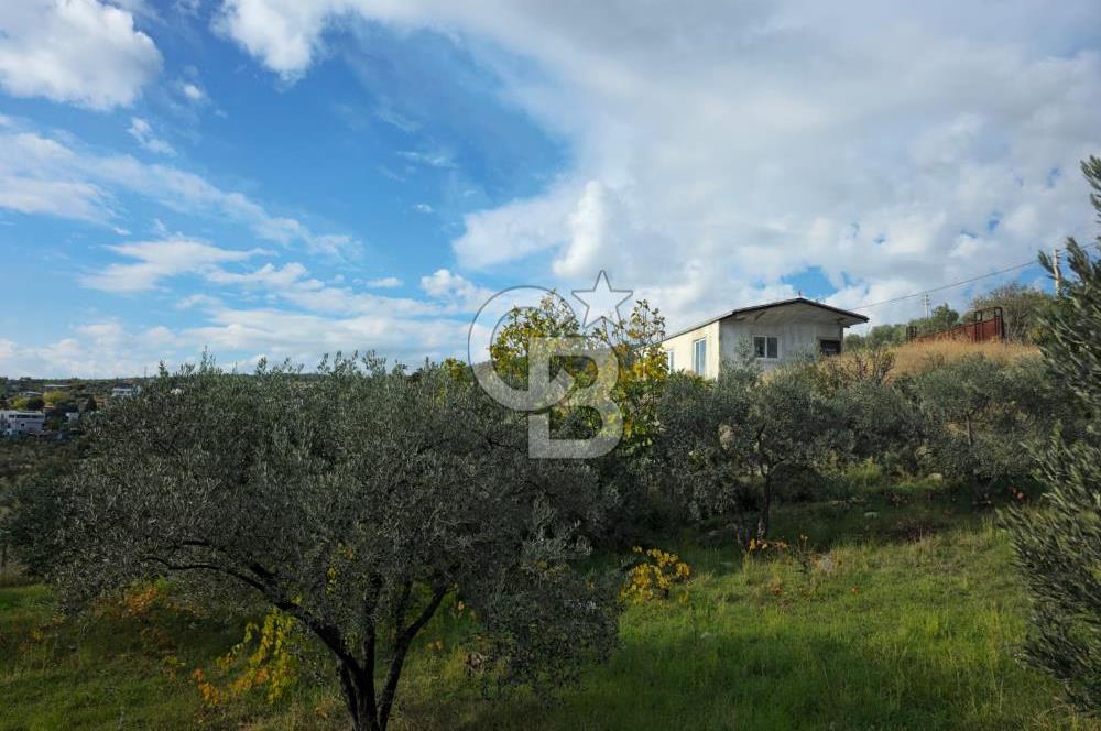 GAZİEMİR SEVGİ MAHALLESİNDE 500M2 TARLA