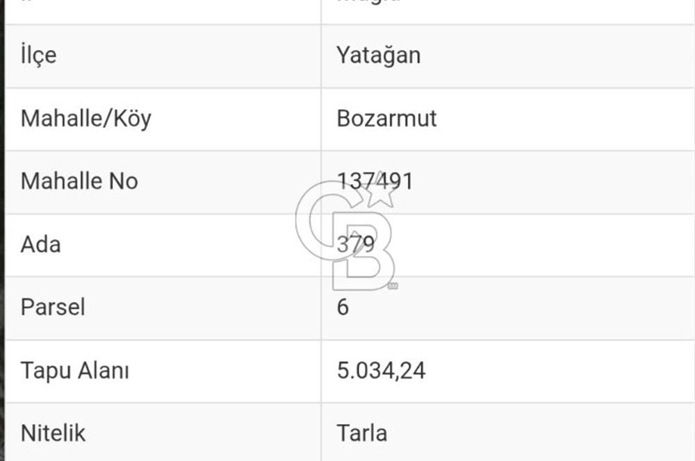 Muğla-İzmir Yoluna 100 Metre Mesafede Satılık 5 Dönüm Tarla