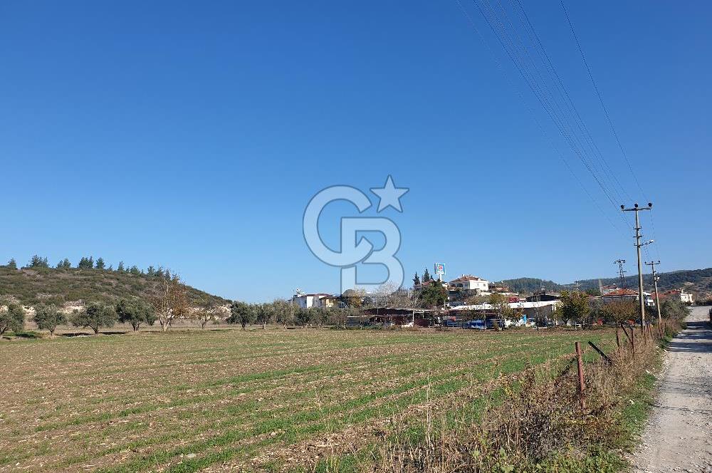 Muğla-İzmir Yoluna 100 Metre Mesafede Satılık 5 Dönüm Tarla