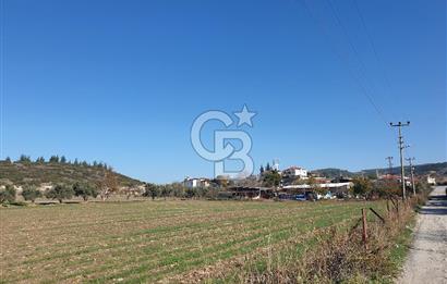 Muğla-İzmir Yoluna 100 Metre Mesafede Satılık 5 Dönüm Tarla