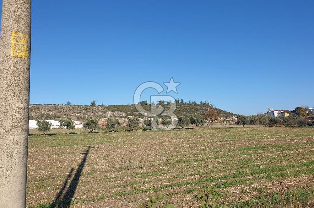 Muğla-İzmir Yoluna 100 Metre Mesafede Satılık 5 Dönüm Tarla