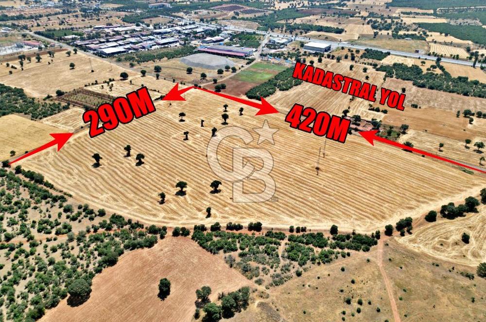 SANAYİ BÖLGESİNİN DİBİNDE 85.684 m² YATIRIM DEĞERİ YÜKSEK TARLA!