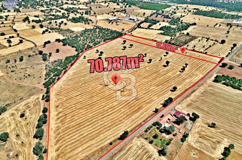 SANAYİ BÖLGESİNİN DİBİNDE 85.684 m² YATIRIM DEĞERİ YÜKSEK TARLA!