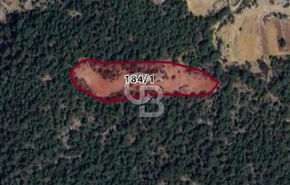 Sarnıç Mahallesi'nde, Denize 4 Km Mesafede Satılık 8 Dönüm Tarla