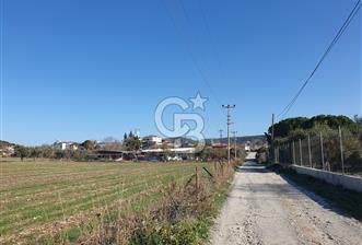 Muğla-İzmir Yoluna 100 Metre Mesafede Satılık 5 Dönüm Tarla - 5 - 323133