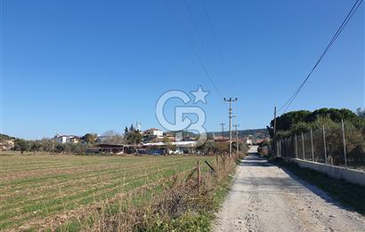 Muğla-İzmir Yoluna 100 Metre Mesafede Satılık 5 Dönüm Tarla