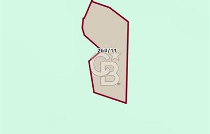 Sarnıç Mahallesi'nde, Denize 3 Km Mesafede Satılık 3 Dönüm Tarla