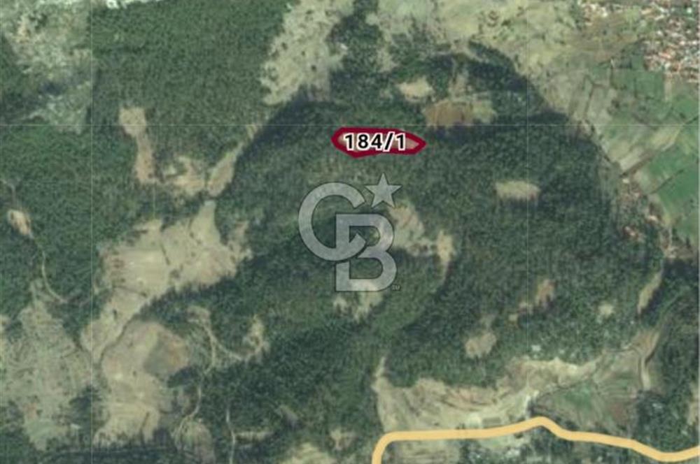 Sarnıç Mahallesi'nde, Denize 4 Km Mesafede Satılık 8 Dönüm Tarla