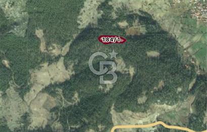 Sarnıç Mahallesi'nde, Denize 4 Km Mesafede Satılık 8 Dönüm Tarla