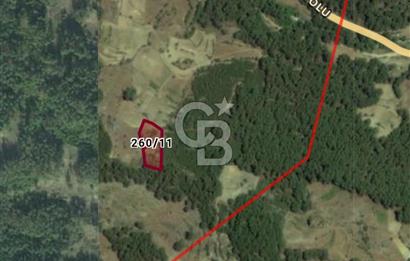 Sarnıç Mahallesi'nde, Denize 3 Km Mesafede Satılık 3 Dönüm Tarla