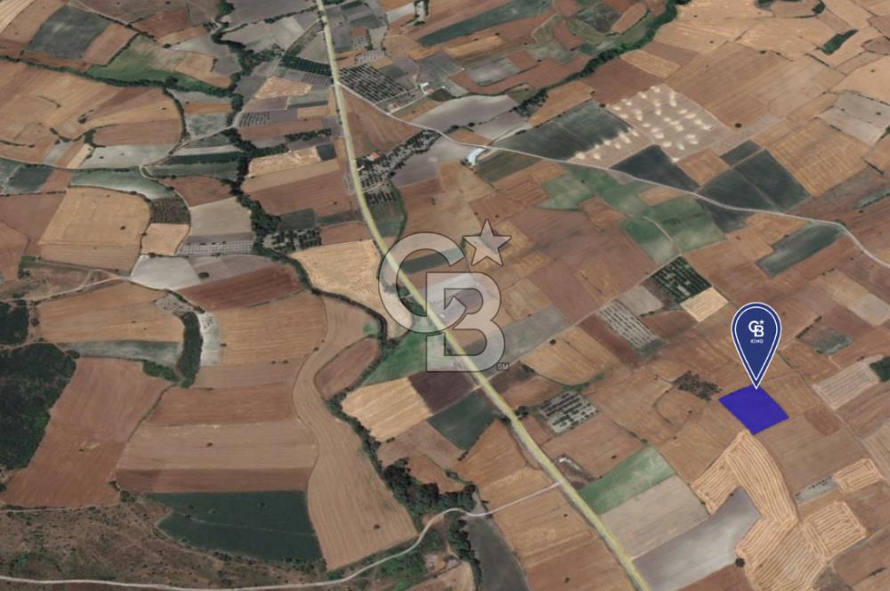 CB KİNG'DEN ORHANLI MAHALLESİ SATILIK TARLA