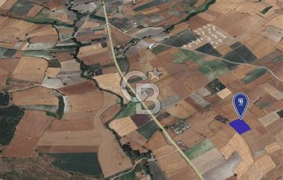 CB KİNG'DEN ORHANLI MAHALLESİ SATILIK TARLA