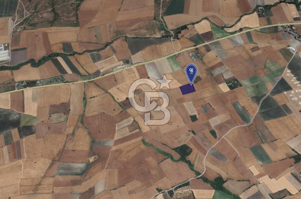 CB KİNG'DEN ORHANLI MAHALLESİ SATILIK TARLA