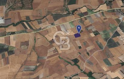 CB KİNG'DEN ORHANLI MAHALLESİ SATILIK TARLA