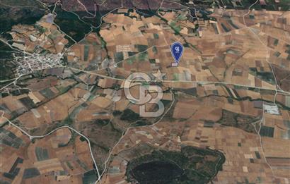 CB KİNG'DEN ORHANLI MAHALLESİ SATILIK TARLA