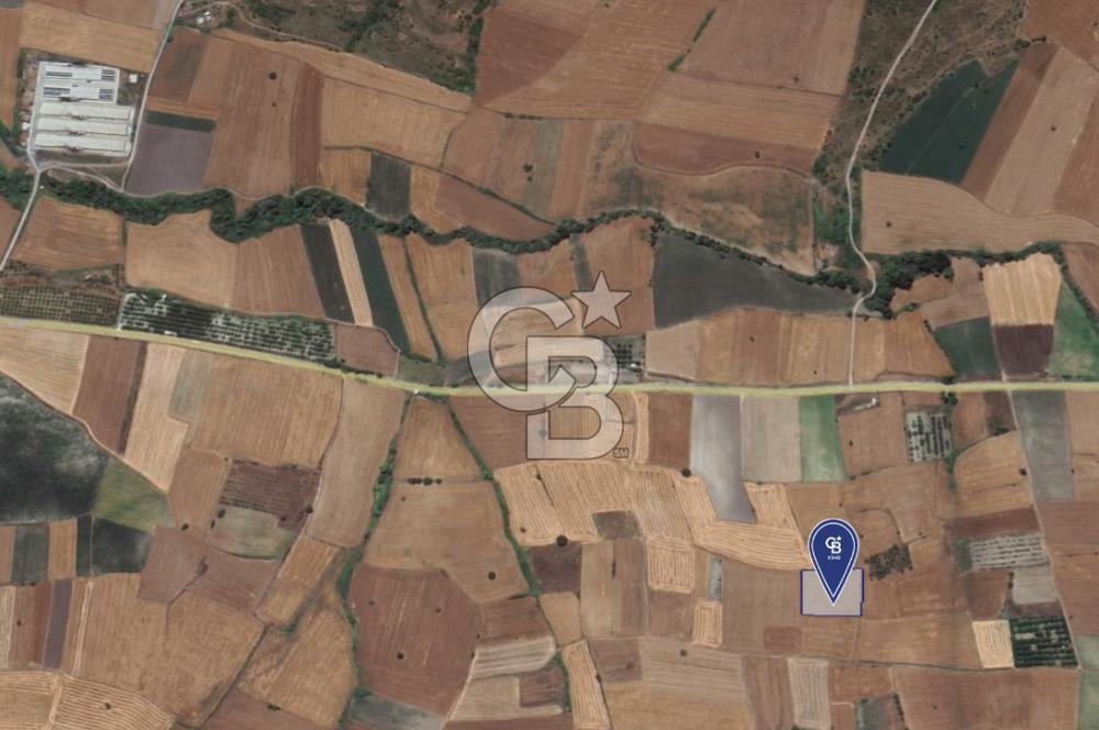 CB KİNG'DEN ORHANLI MAHALLESİ SATILIK TARLA