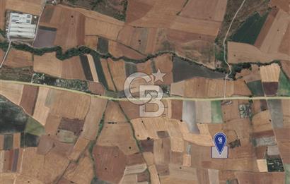 CB KİNG'DEN ORHANLI MAHALLESİ SATILIK TARLA