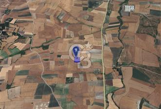 CB KİNG'DEN ORHANLI MAHALLESİ SATILIK TARLA - 2 - 323116