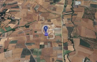 CB KİNG'DEN ORHANLI MAHALLESİ SATILIK TARLA