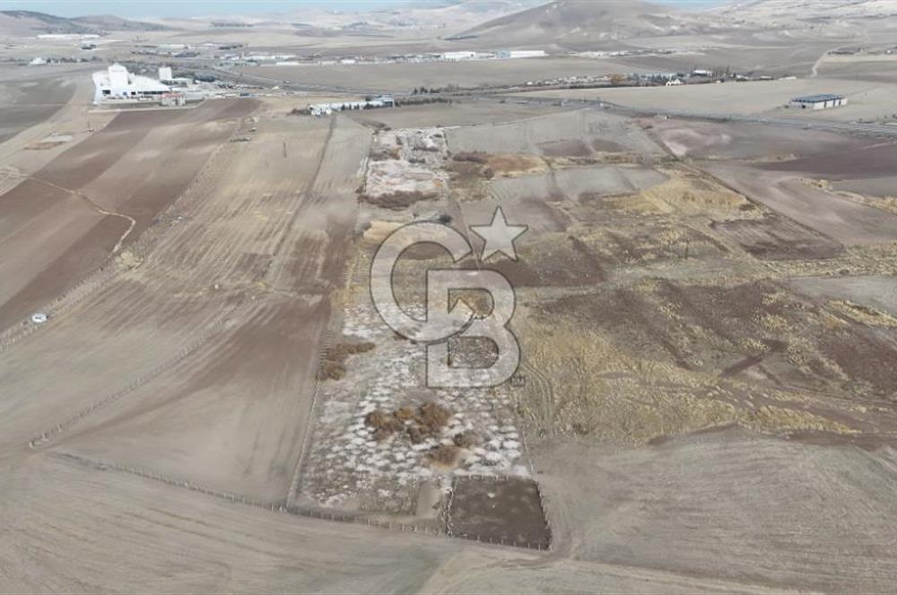 GÖLBAŞI İLÇESİ AHİBOZ MAH. SATILIK TARLA