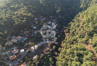 ARMUTALANDA 922 M2 ARSA İÇİNDE 120 M2 KARGIR EV - 3 - 323139