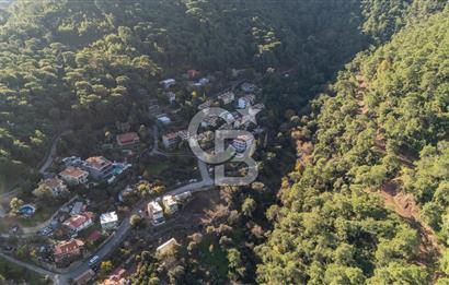 ARMUTALANDA 922 M2 ARSA İÇİNDE 120 M2 KARGIR EV