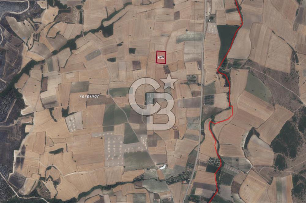 CB KİNG'DEN ORHANLI MAHALLESİ SATILIK TARLA