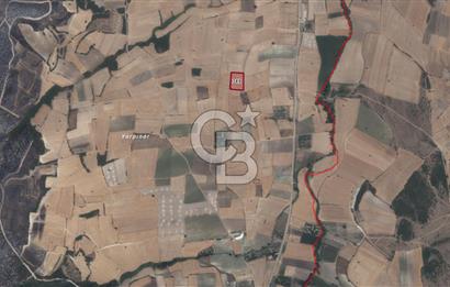 CB KİNG'DEN ORHANLI MAHALLESİ SATILIK TARLA